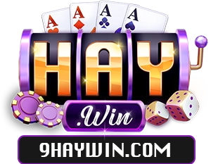 9haywin.com