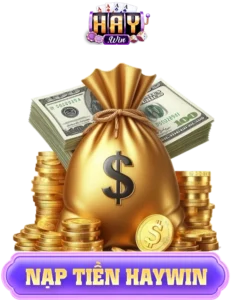 Nap-tien-haywin