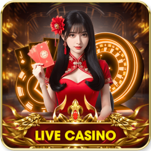 live-casino-haywin