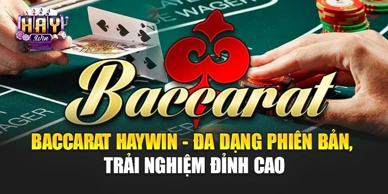 baccarat-haywin