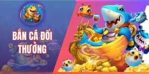 ban-ca-doi-thuong-haywin