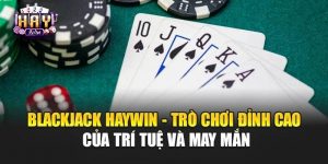 blackjack-haywin