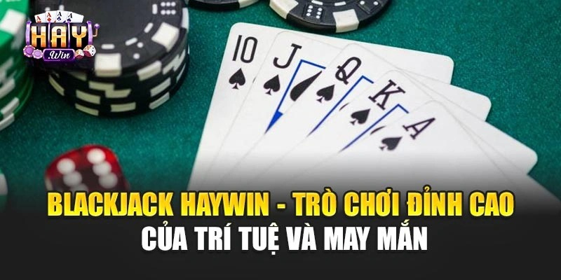 blackjack-haywin