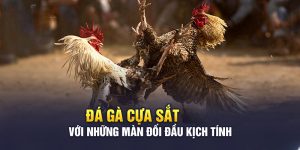 da-ga-cua-sat-haywin