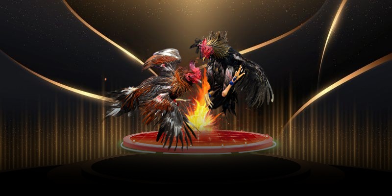 da-ga-cua-sat-haywin 