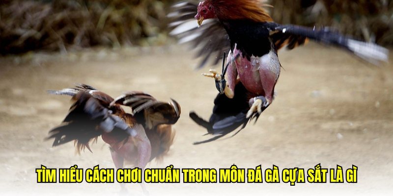 da-ga-cua-sat-haywin 