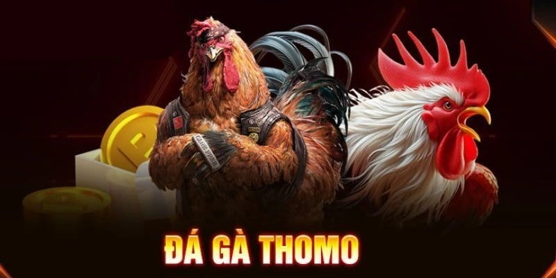 da-ga-thomo-haywin