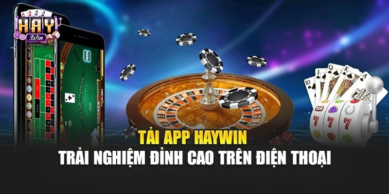 tai-app-haywin