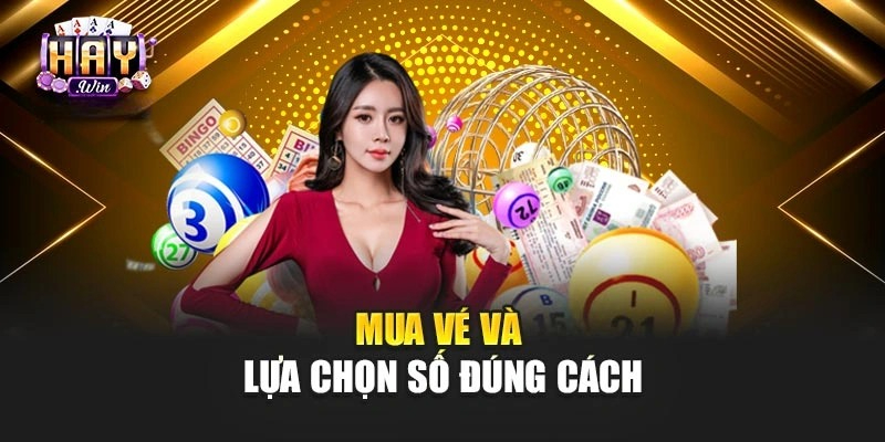 xo-so-mien-trung-haywin 