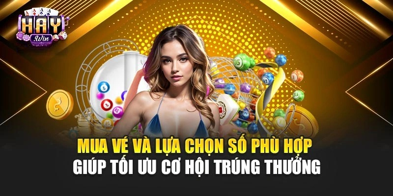 xo-so-vietlott-haywin