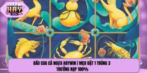 Bầu Cua Cá Ngựa Haywin | Mẹo Đặt 1 Trúng 3 Thưởng Nạp 100%