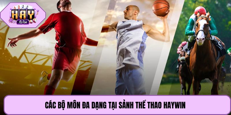 Các bộ môn đa dạng tại sảnh thể thao Haywin