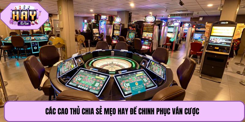 Các cao thủ chia sẻ mẹo hay để chinh phục ván cược
