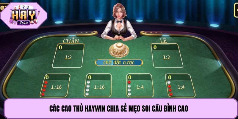 Các cao thủ Haywin chia sẻ mẹo soi cầu đỉnh cao