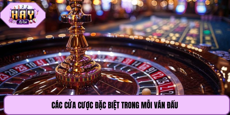 Các cửa cược đặc biệt trong mỗi ván đấu