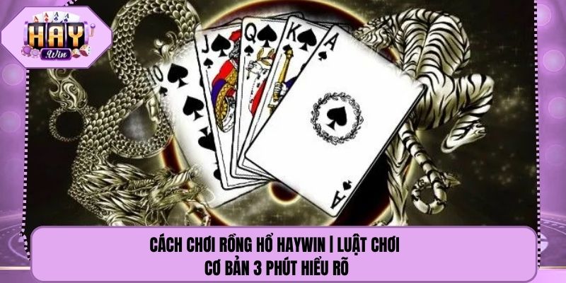 Cách Chơi Rồng Hổ Haywin | Luật Chơi Cơ Bản 3 Phút Hiểu Rõ
