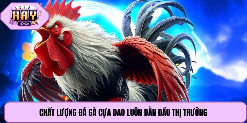 Chất lượng đá gà cựa dao luôn dẫn đầu thị trường