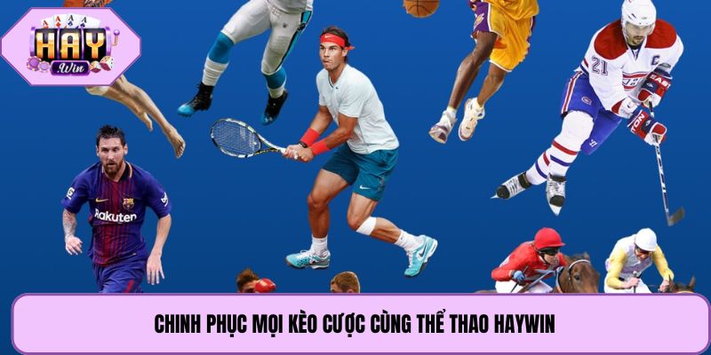 Chinh phục mọi kèo cược cùng thể thao Haywin