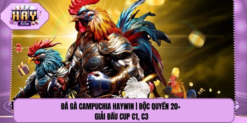 Đá Gà Campuchia Haywin | Độc Quyền 20+ Giải Đấu Cup C1, C3