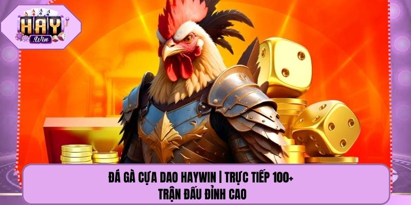 Đá Gà Cựa Dao Haywin | Trực Tiếp 100+ Trận Đấu Đỉnh Cao