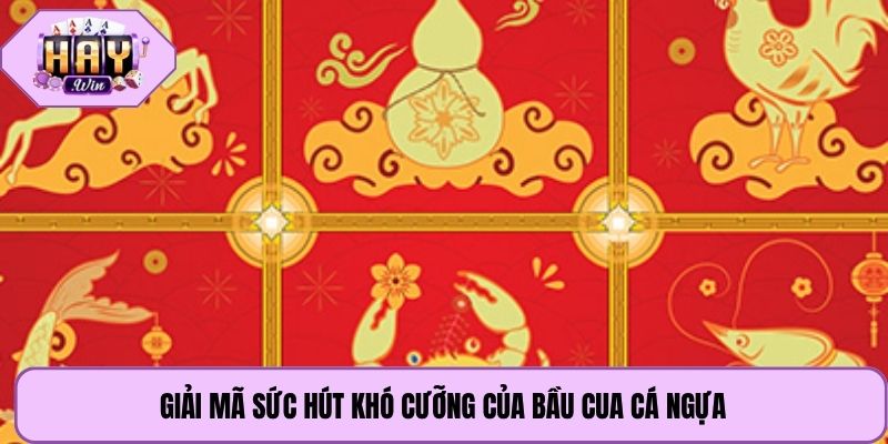 Giải mã sức hút khó cưỡng của bầu cua cá ngựa