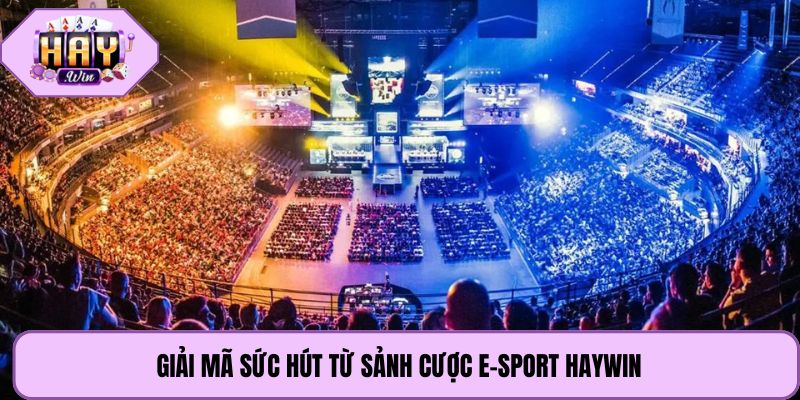 Giải mã sức hút từ sảnh cược E-Sport Haywin