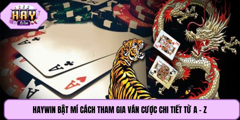 Haywin bật mí cách tham gia ván cược chi tiết từ A - Z