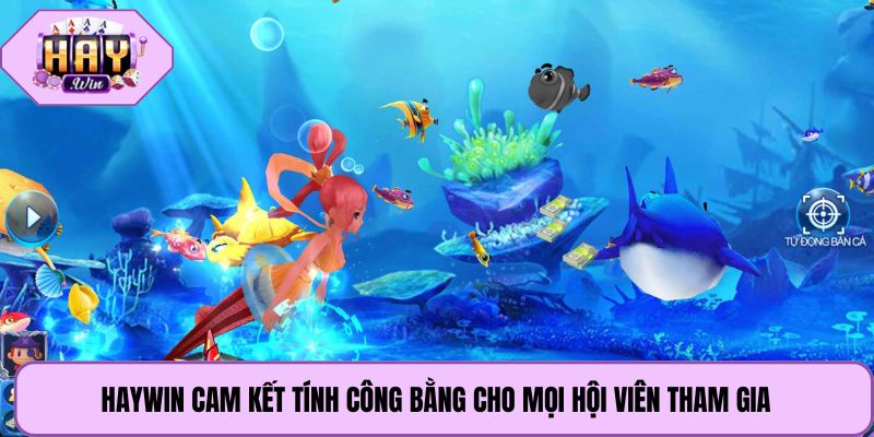 Haywin cam kết tính công bằng cho mọi hội viên tham gia