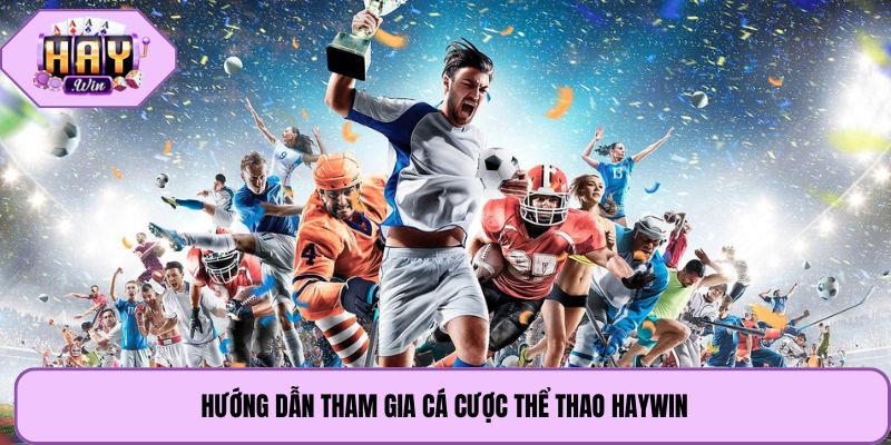 Hướng dẫn tham gia cá cược thể thao Haywin