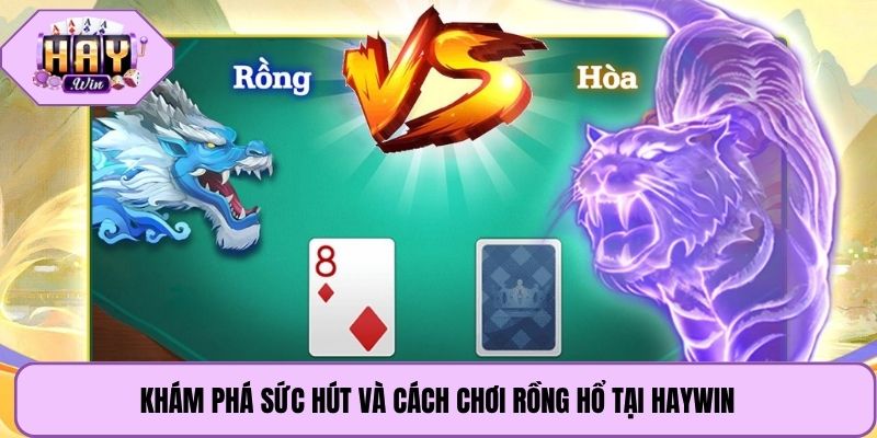 Khám phá sức hút và cách chơi rồng hổ tại Haywin
