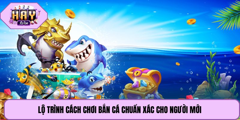 Lộ trình cách chơi bắn cá chuẩn xác cho người mới
