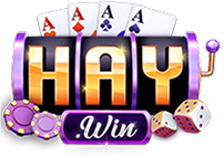 9haywin.com