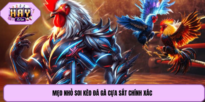 Mẹo nhỏ soi kèo đá gà cựa sắt chính xác