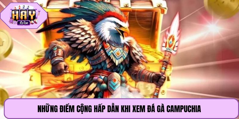 Những điểm cộng hấp dẫn khi xem đá gà Campuchia
