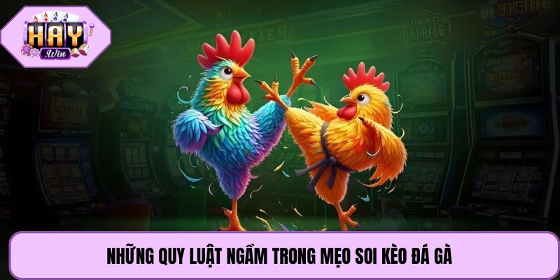Những quy luật ngầm trong mẹo soi kèo đá gà