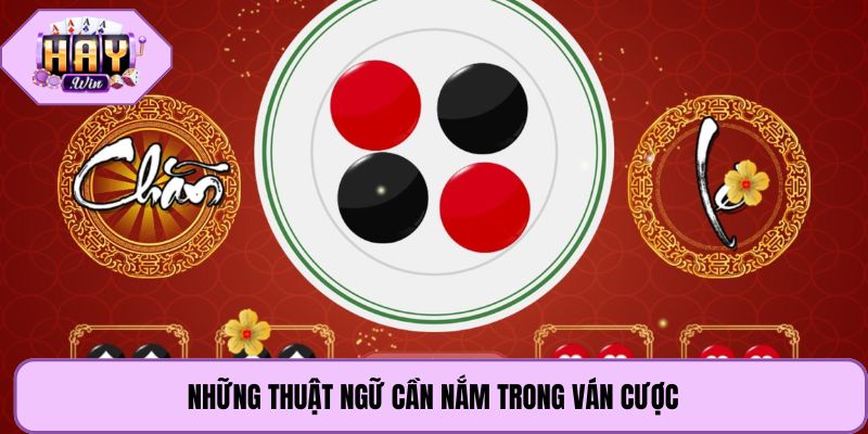Những thuật ngữ cần nắm trong ván cược
