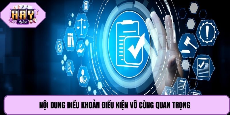 Nội dung điều khoản điều kiện vô cùng quan trọng