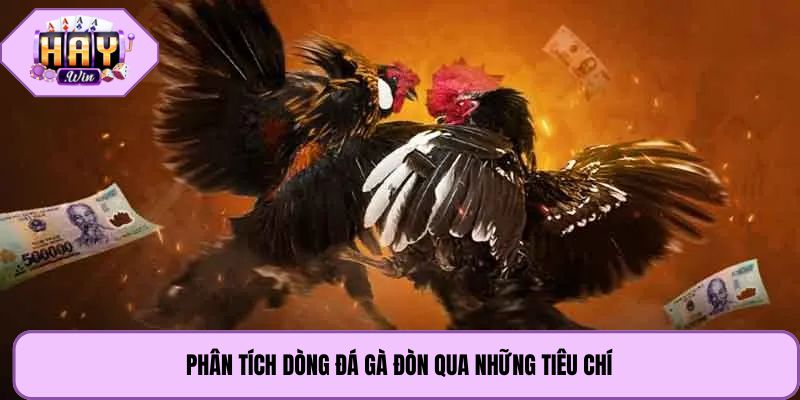 Phân tích dòng đá gà đòn qua những tiêu chí