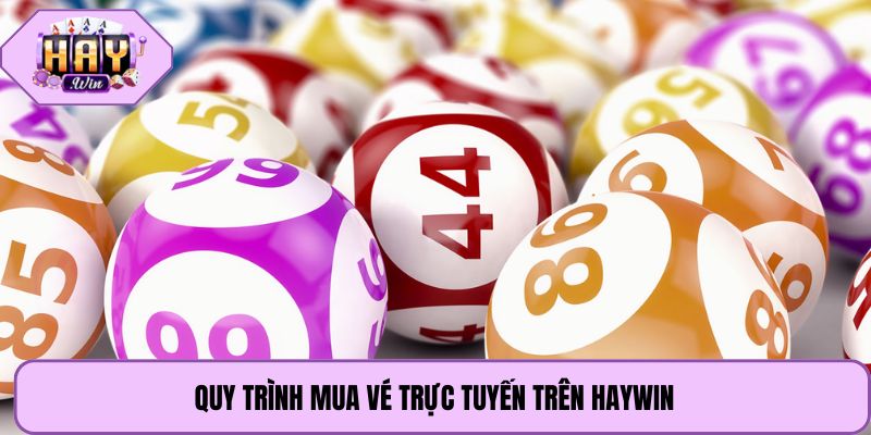Quy trình mua vé trực tuyến trên Haywin