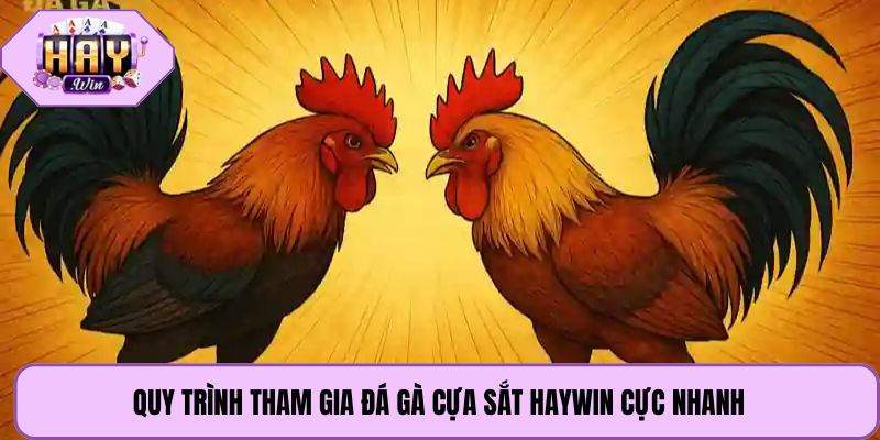 Quy trình tham gia đá gà cựa sắt Haywin cực nhanh