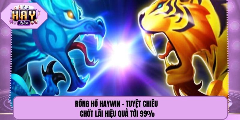 Rồng Hổ Haywin - Tuyệt Chiêu Chốt Lãi Hiệu Quả Tới 99%