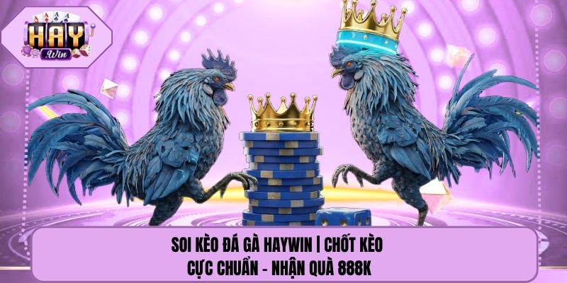Soi Kèo Đá Gà Haywin | Chốt Kèo Cực Chuẩn - Nhận Quà 888k