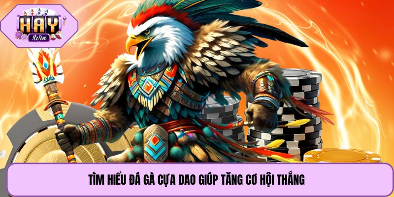 Tìm hiểu đá gà cựa dao giúp tăng cơ hội thắng